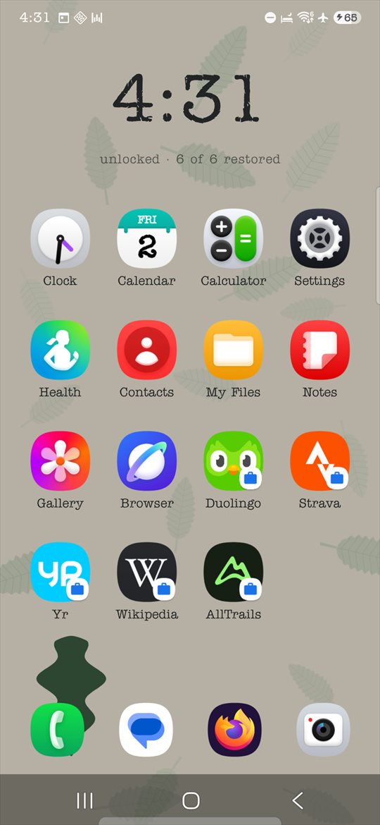 The home screen after entering the code